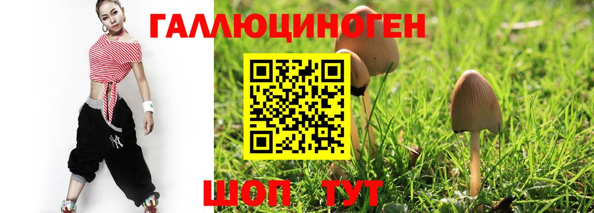 Галлюциногенные грибы мухоморы Усолье-Сибирское